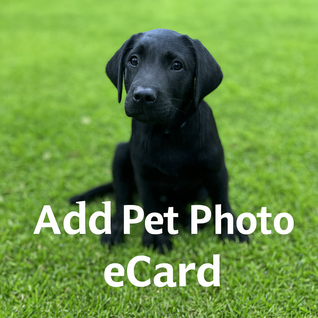 Add pet photo ecard